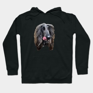 Afghan Hound Cute Dog Hoodie